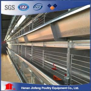 Jinfeng H Type Chicken Cage for Broiler Pullet Battery Layer Cage for Sale in Bengal Poultry Cage Fowl Cage