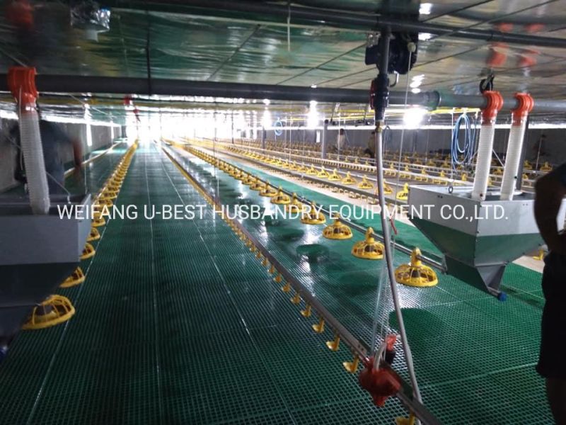 Chicken Feeder Line Automatic Feeding System Feeding Pan Poultry Equipment Condition New