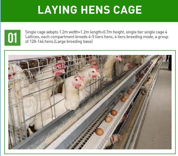 3 Tiers 4 Tiers Layer Chicken Egg Battery Cage for Chicken Farm