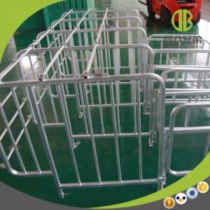 Galvanized Steel Good Quatlity Factory Pig Gestation Stall