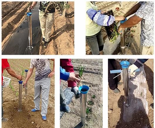 Seeding Tool Handheld Transplanter Stainless Steel Planter Machine, Seedling Machine Seeder Vegetable Seed Planter