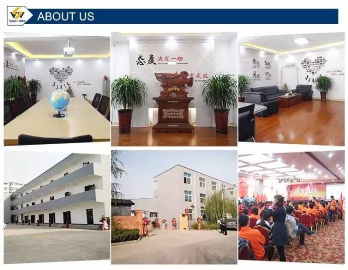 Tilapia Fish Feed Extruder Shrimp Feed Production Line with Long-Term Technical Support Making Machine