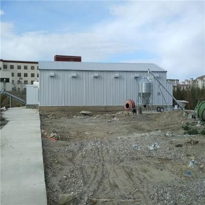Prefab/Prefabricated Low Cost High Quality Meat Chicken Feeding System