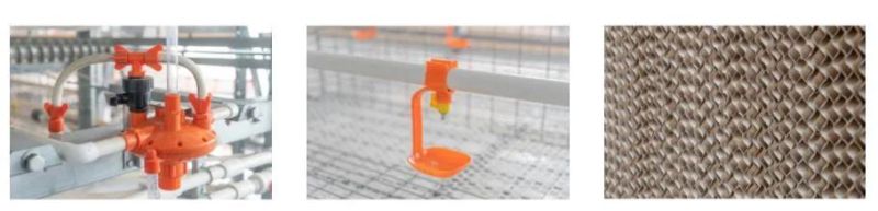 Complete Automatic Layer Egg Chicken Cage Poultry Farm House Design Equipment for Coop Chicken