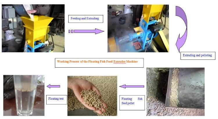 Hot Sale Pet Feed Making Machine Puffed Animal Floating Fish Pellet Machine Aquatic 60-80kg/H Fish Feed Extruder