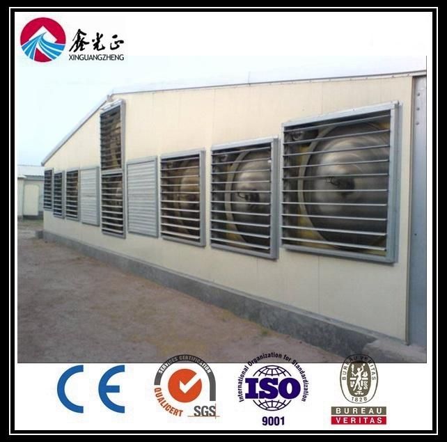Chicken House Equipment