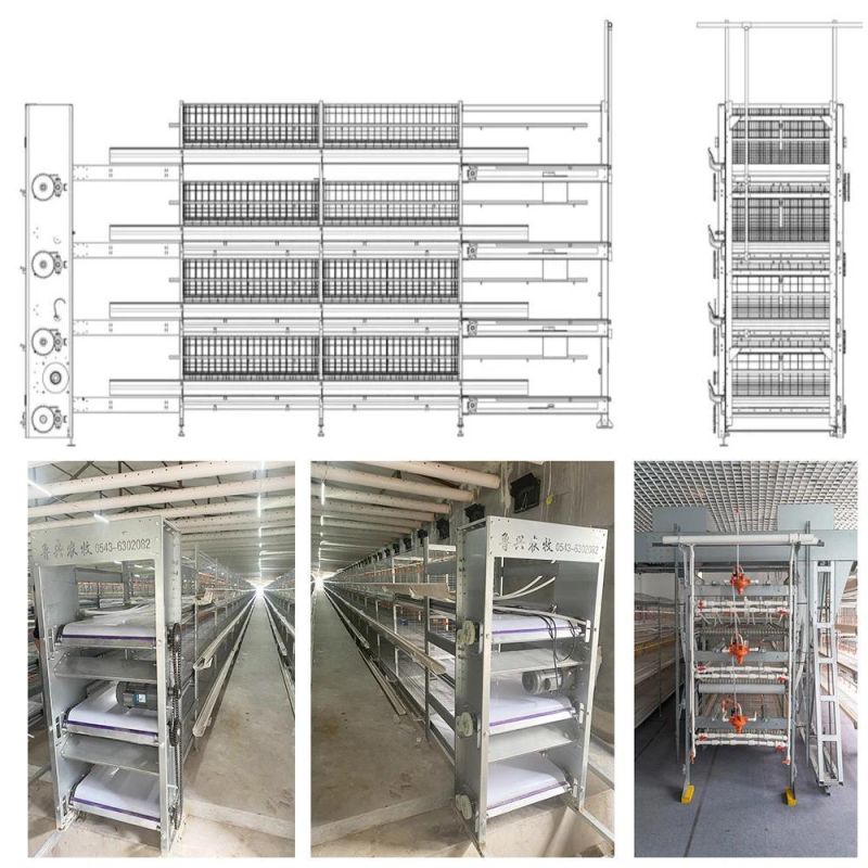 Poultry Cage Chicken Layer Battery Cage Automatic Rearing Equipment Livestock Cage