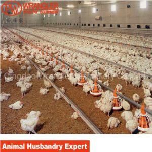Poultry Feeding Equipment for Broiler / Chicken Poultry Shed Equipment