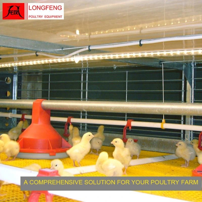 Adapted to All Climatic Conditions Egg Incubator Broiler Chicken Cage with on-Site Installation Instruction