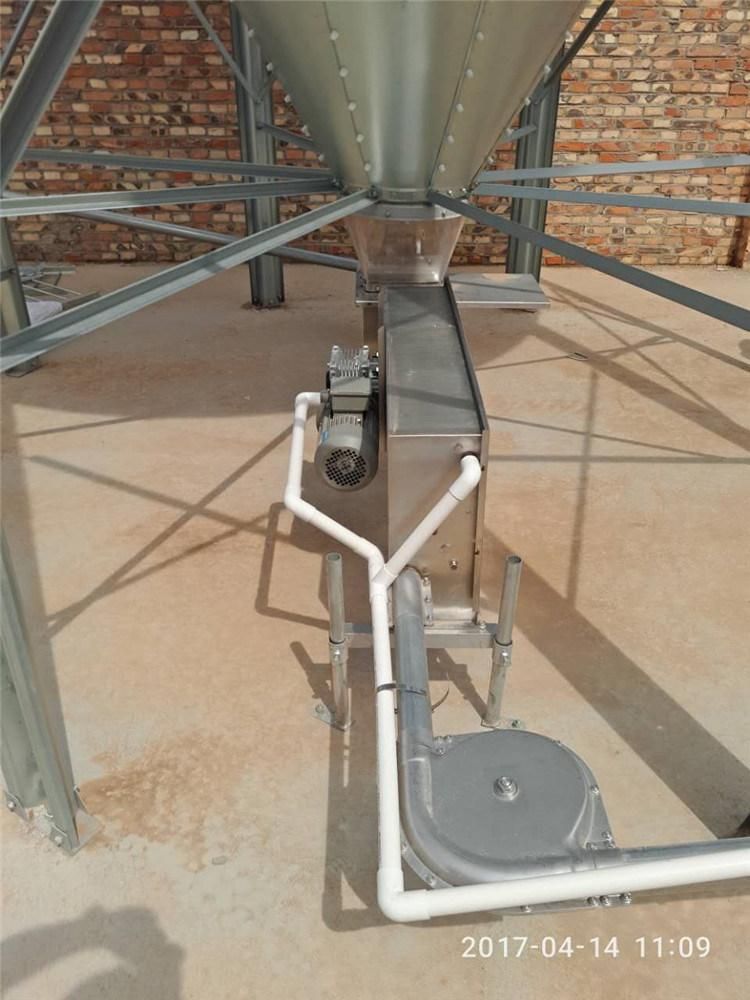 High Quality Automatic Feeding Equipments for Pig Farm