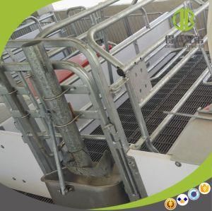 European Design Farrowing Crate Pig Farm Equipment