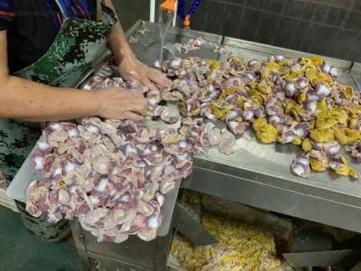 Chicken Gizzard Peeling Machine