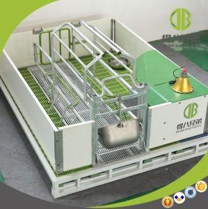 Made in China Supplier Pig Farm Farrowing Crate Design