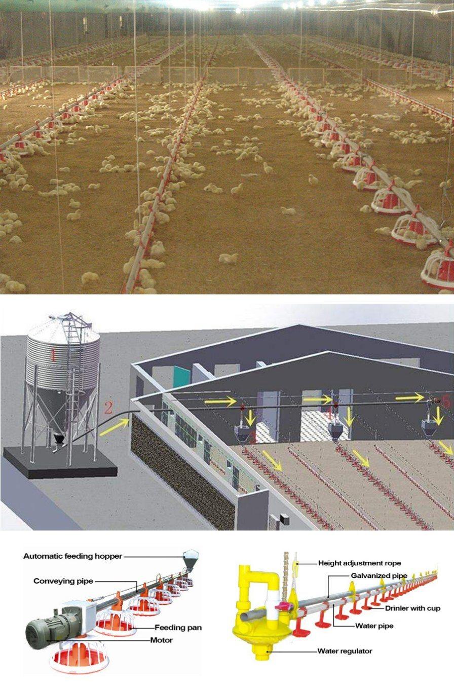 Poultry Farm Equipment Broilers Automatic Feeding Line and Drinking Line