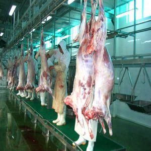 Sheep Slaughter for Mutton Production Line Halal Meat Plant Application with Chilling Room for Slaughterhouse