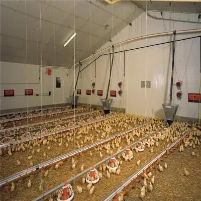 Prefab/Prefabricated High Technical Easily Management Steel Chicken Shed