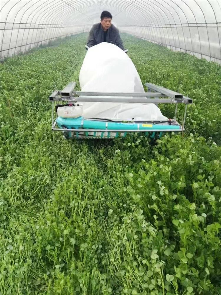 Good Feedback Lavender Harveting Machine in Europe