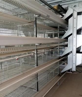 Automatic Poultry Farming System Chicken Broiler Farm