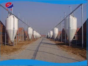 New Design Best Selling Reinforced Durable Silo System Pig Farm