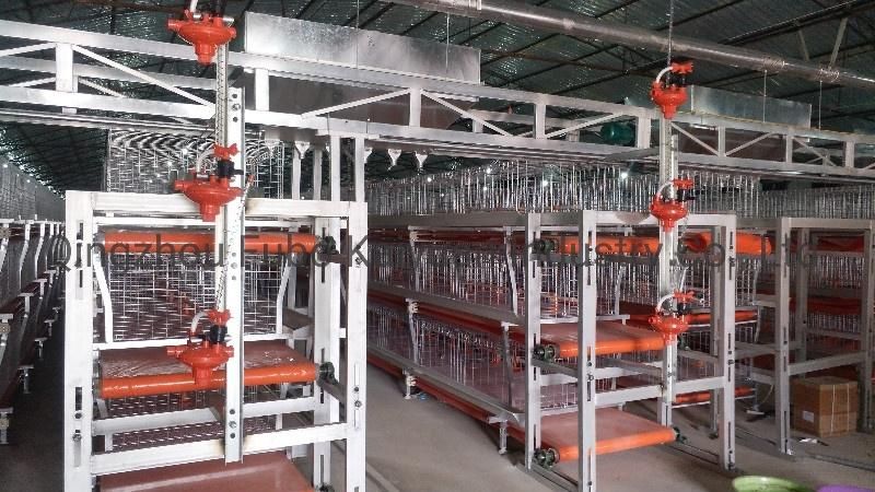 Automatic Battery Commercial Poultry Feed System for Broiler/Layer/Egg Chicken