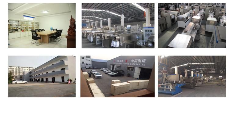 Dry Type Fish Feed Extruder Fish Feed Double Screw Extruder Machine