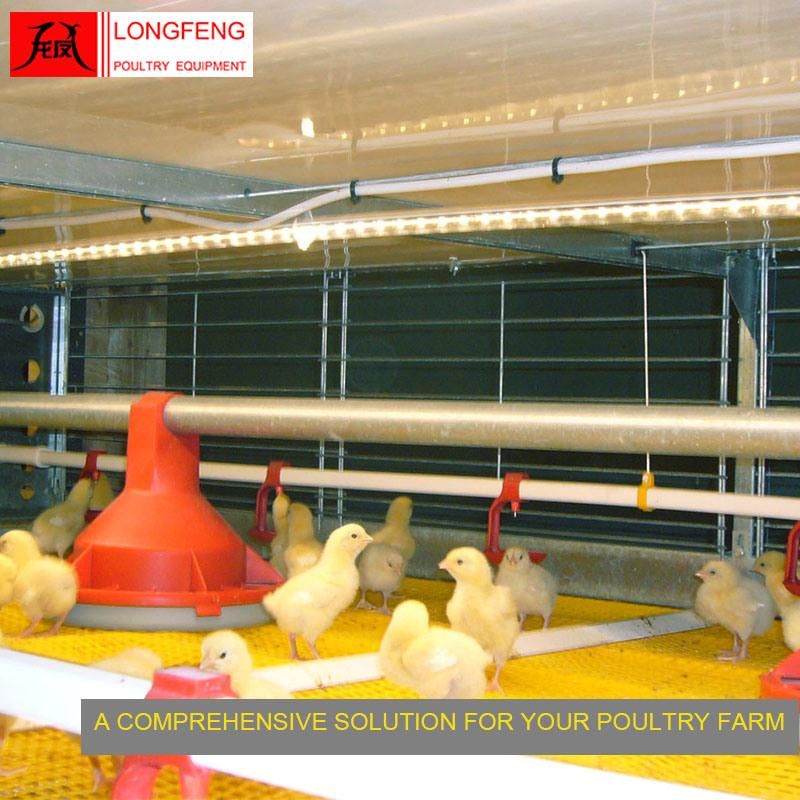 Standard Packing Easy Cleaning Longfeng Milking Machine Broiler Chicken Cage