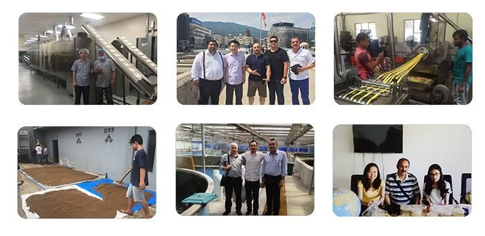 Twin Screw Floating Fish Feed Extruder Fish Food Pellet Machine Plant