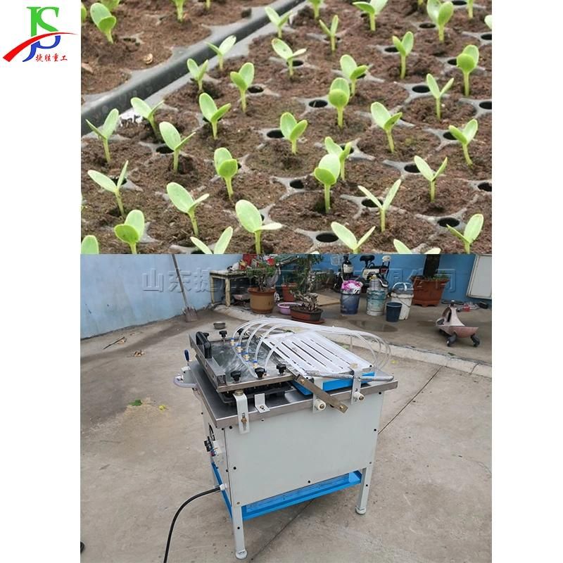 Tomato Pepper Eggplant Cucumber Automatic Sowing Pressing Holes Hole Plate Machine Tray Seed Machine