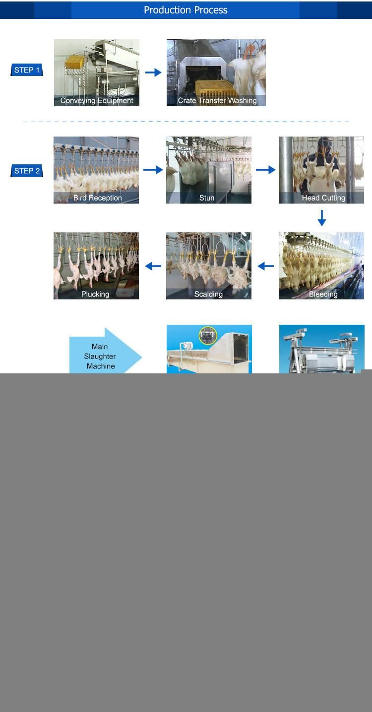Turkey 1000 3000 Chickens Per Hour Slaughter Equipment Processing Line