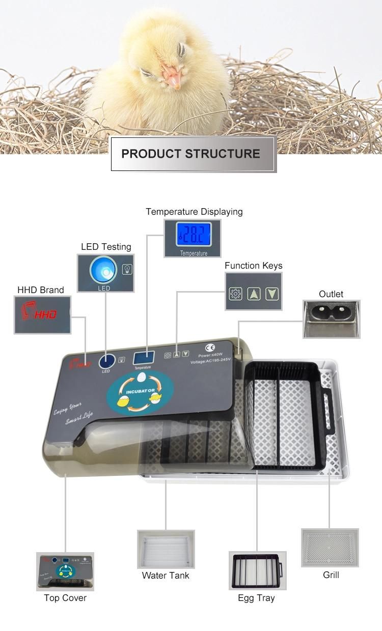 Hhd Full Automatic Mini 12 Egg Incubator with Egg Testing Function