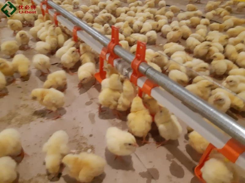 Poultry Farm Equipment Chicken Nipple Drinker, Nipple Drinkers for Chicken, Poultry Water Nipples