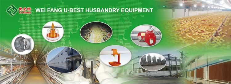 Hot Sale Poultry Farm Fully Automatic Floor Feeding Equipment for Broiler