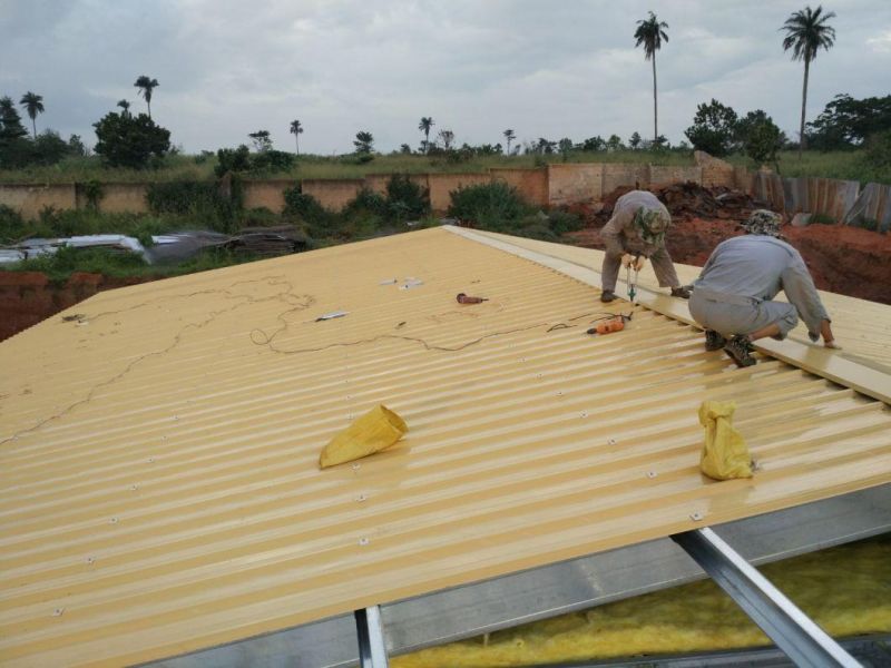 Steel Structure Layer Chicken House with Equipment