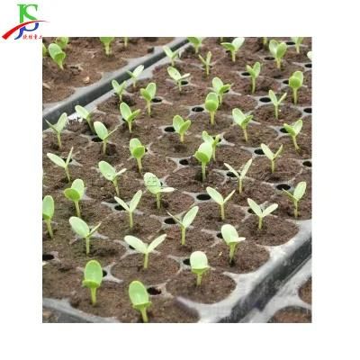 750W 220V Pepper Vegetables Flowers Plants Seedling Planters Machine Nursery Seedling Pot Making Machine