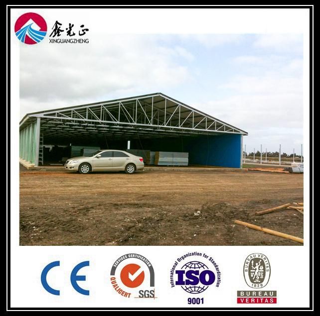 Automatic Chicken Equipment for Layer & H Type Galvanized