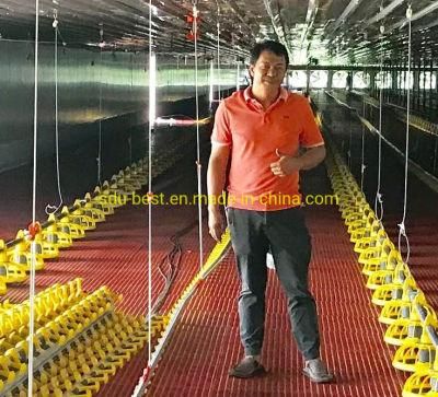 High Quality Automatic Broiler Poultry Farming Equipment