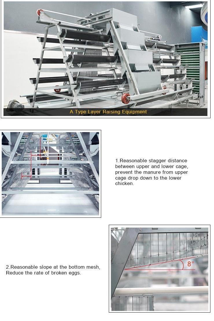 Professional Design Galvanized Layer Chicken Cage