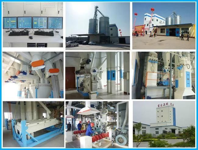 Turnkey Poultry Projects Cattle Feed Plant Manufacturer