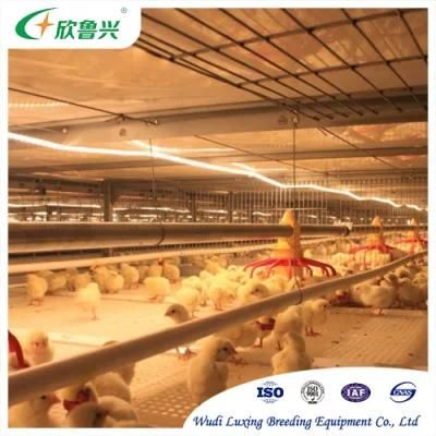 Large Scale Metal Pre-Engineered Efficiency Turkey Poultry Farm Layer Cage