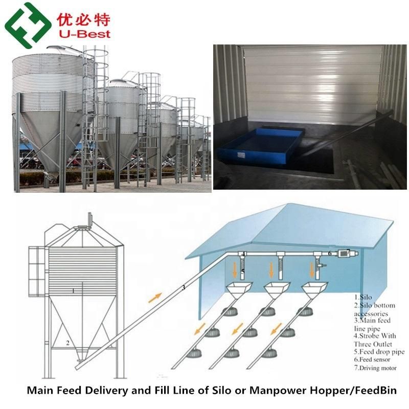 Professional Design Poultry Farm Equipment for Broiler Chicken House with Plastic Floor