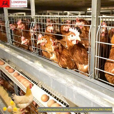 Longfeng China Layer Cages Farms Equipment Livestock Machinery Poultry Farm Chicken Cage