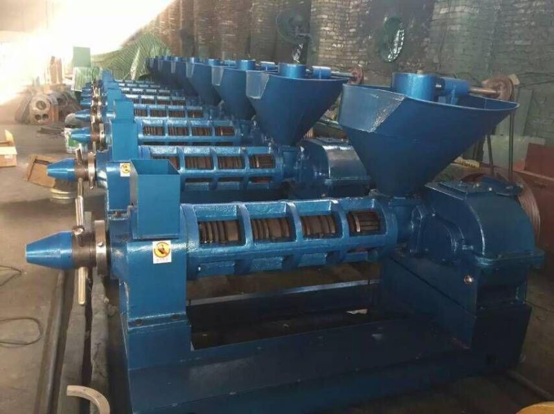 High Capacity Soybean/Rapeseeds/Canola/Cottonseeds/Peanut/Sunflower Seed Cocoa Bean Oil Press Machine Oil Presser