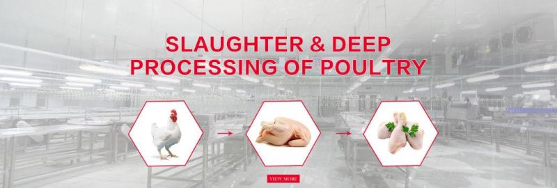 100-1000bph Broilers Broiler Slaughter Line Slaughtering Equipment