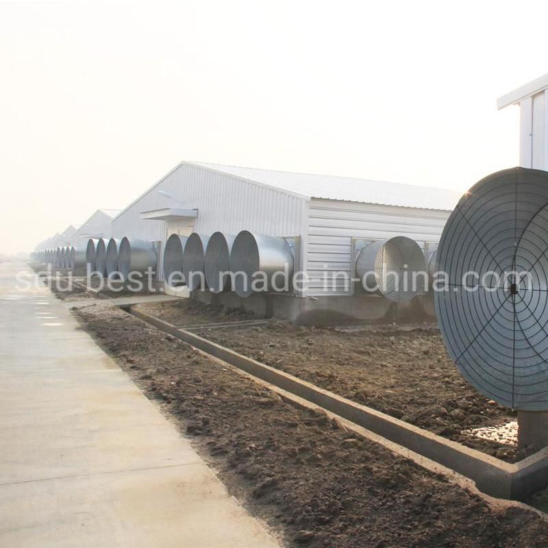 Complete Controlled Automatic Chicken House/Broiler Shed/Poultry Farm Equipment