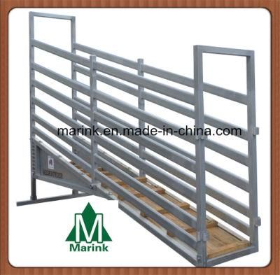 Loading Ramp / Slope for Cattle / Cattle Crush