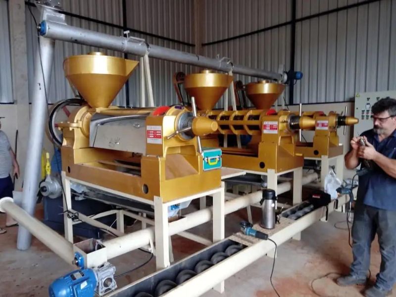 10ton Soybean Oil Press Machine From Factroy