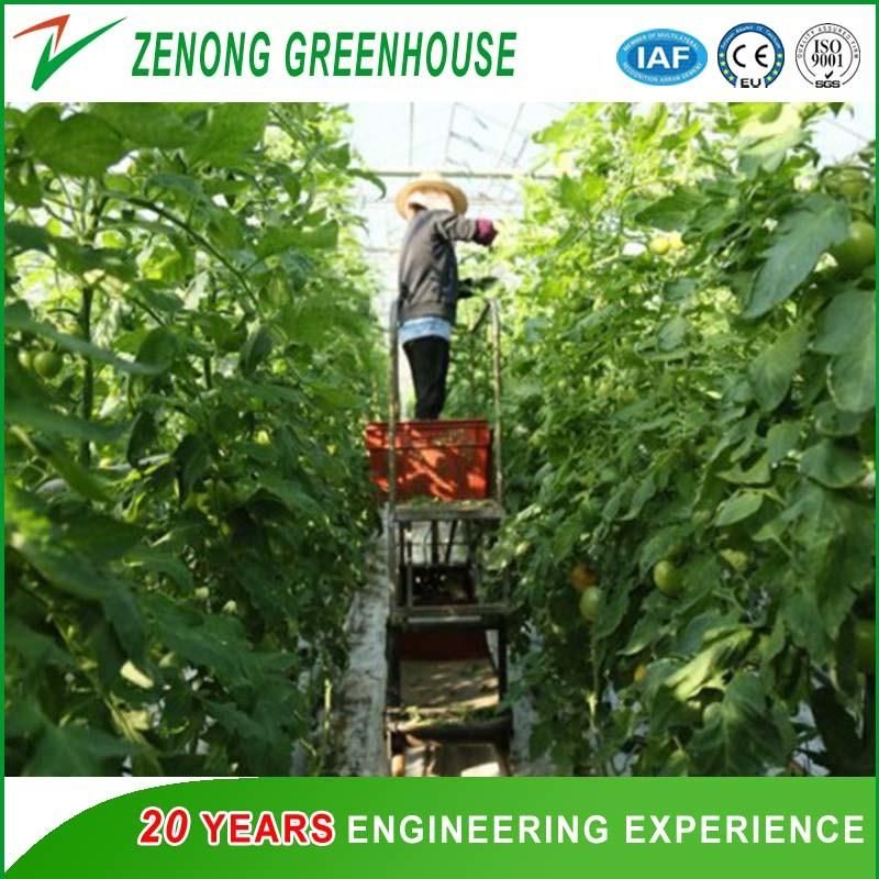 High Safety Hydraulic Elevating Work Platform for Picking up Fruits/Vegetables