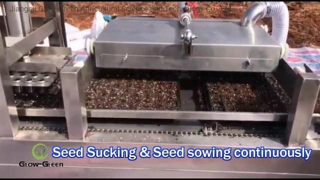 Vegetable & Flower Seeds Automatic Soil Filling and Seed Sowing Plug Tray Seeder Line with High Speed and Precision