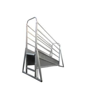 Hot Dipped Galvanized Livestock Equipment Cattle Headlock