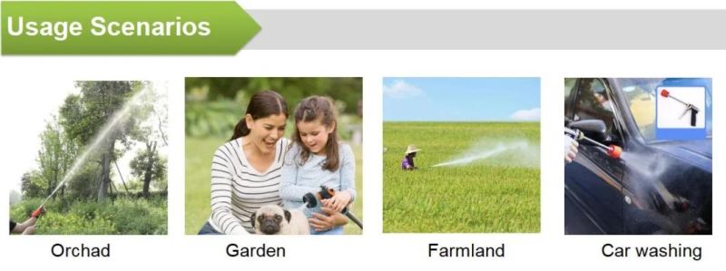 Plantmate /Lamsin Portable Electric Battery Sprayer with Double Pump